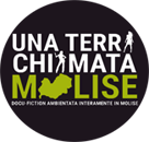 Immagine caricata 