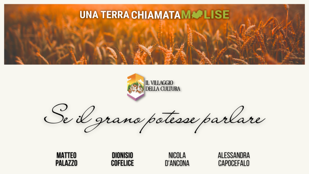 Se il grano potesse parlare
